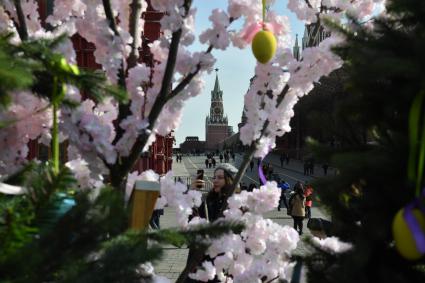 Москва. Украшения на Манежной площади к весеннему фестивалю `Пасхальный дар`, посвященному празднованию Пасхи.