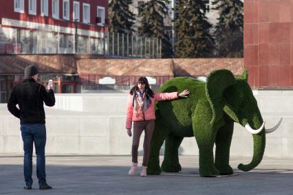 Ставрополь.   Девушка фотографируется у фигуры слона на фестивале цветов, приуроченного к празднику 8 марта.
