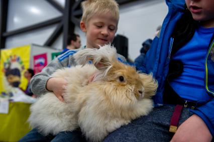 Санкт-Петербург.   Мальчики играют с кроликом на выставке  домашних животных и услуг для них`Зоосфера`.