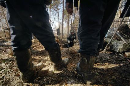 Екатеринбург. Ивановское кладбище. Эксгумация останков Семена Золотарева - участника похода на перевал Дятлова и погибшего при невыясненных обстоятельствах