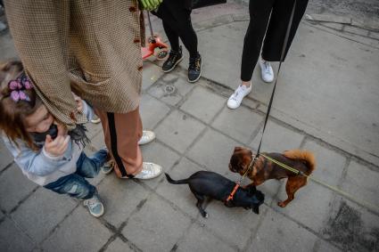 Москва. Уличные встречи.