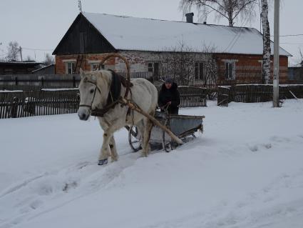 Село Глазок. Лошадь, запряженная в сани на улице села.