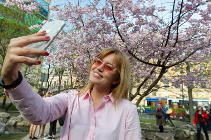 Санкт-Петербург. Девушка фотографируется на фоне цветущей сакуры  в Ботаническом саду Петра Великого.