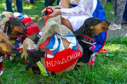 Санкт-Петербург. Традиционный `Такс парад 2018`прошел на Васильевском острове в Саду Академии художеств в рамках празднования Дня города.