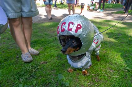 Санкт-Петербург. Традиционный `Такс парад 2018`прошел на Васильевском острове в Саду Академии художеств в рамках празднования Дня города.