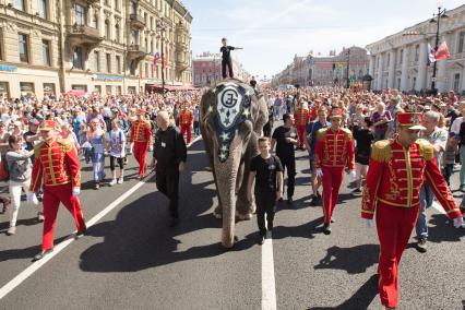 Санкт-Петербург. Шествие цирковых слонов по Невскому проспекту в День города.