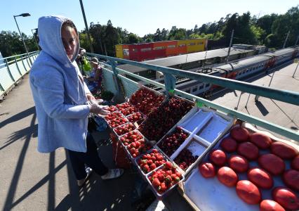 Москва. Торговля клубникой на пригородной станции.