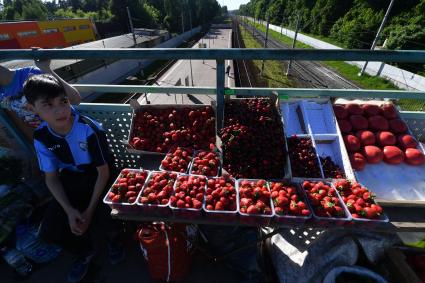 Москва. Торговля клубникой на пригородной станции.