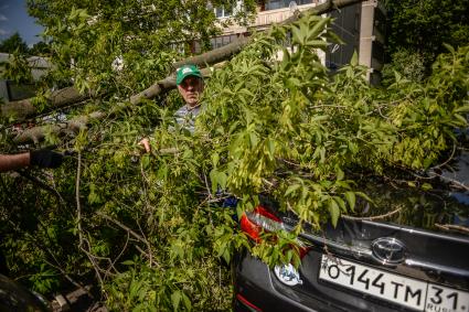 Москва. Мужчина убирает поваленное ураганом дерево в Петровско-Разумовском проезде.