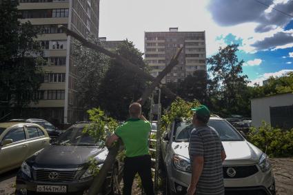 Москва. Мужчина убирает поваленное ураганом дерево в Петровско-Разумовском проезде.