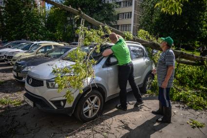 Москва. Мужчина убирает поваленное ураганом дерево в Петровско-Разумовском проезде.