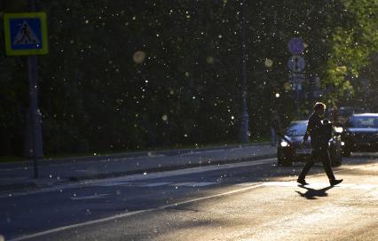 Москва. Тополиный пух на улицах города.