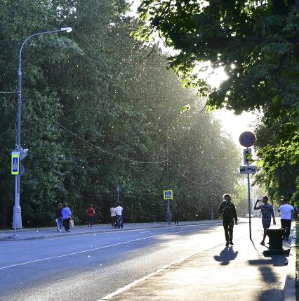 Москва. Тополиный пух на улицах города.