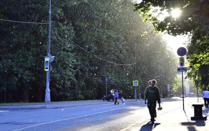 Москва. Тополиный пух на улицах города.