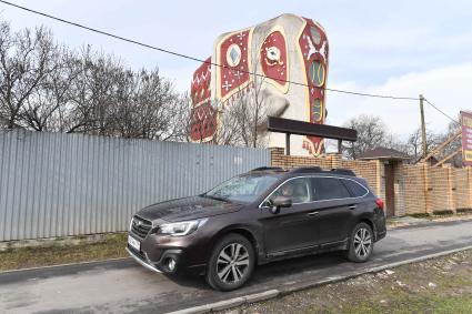 Московсая область. Дом в иде слона в поселке Островцы.