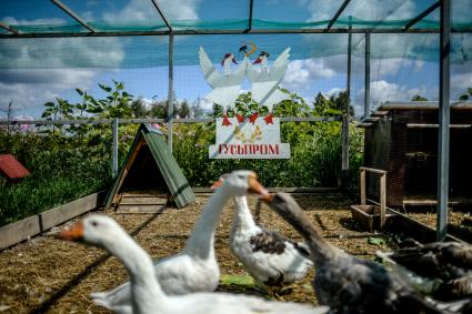 Плес. Эко-деревня `Знатная сторонка`.