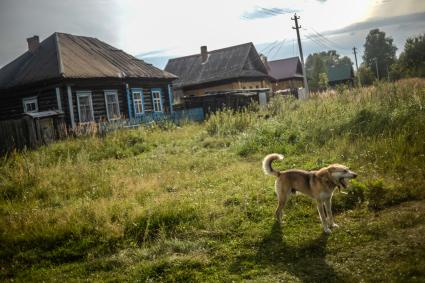 Нижегородская область. Поселок Макарьево.