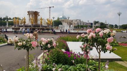 Москва. Фонтан `Дружба народов` на центральной аллее ВДНХ после реставрации.