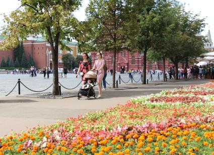 Москва. Фестиваль цветов в ГУМе.