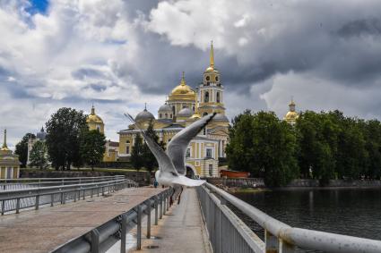 Селигер. Вид на монастырь  Нилова Пустынь.