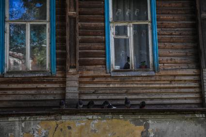 Селигер, Осташков. Окна старого деревянного дома.