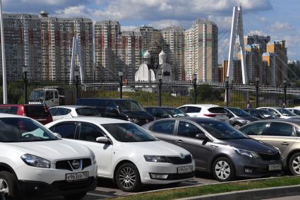 Московская область, Красногорск. Павшинский (Спасский) мост.