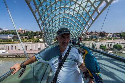 Грузия, Тбилиси.  Мужчина с попугаем на  пешеходном стеклянном мосту Мира через реку Кура (Мтквари).