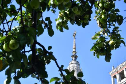 Москва. Шпиль здания МГУ имени М.В. Ломоносова на Воробьевых горах.