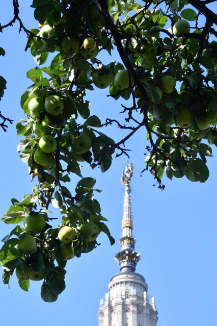 Москва. Шпиль здания МГУ имени М.В. Ломоносова на Воробьевых горах.