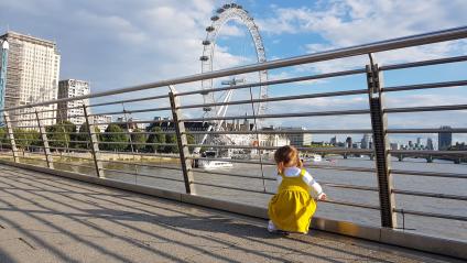 Великобритания, Лондон.   Вид на  колесо обозрения  London Eye у реки Темза.