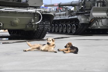 Московская область, Кубинка. На открытии IV Международного военно-технического форума (МВТФ) `Армия-2018` в парке `Патриот`.