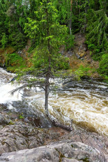 Республика Карелия. Водопад в заповеднике `Кивач`.