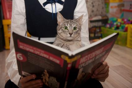Пермь.  Девочка с кошкой читает книгу.