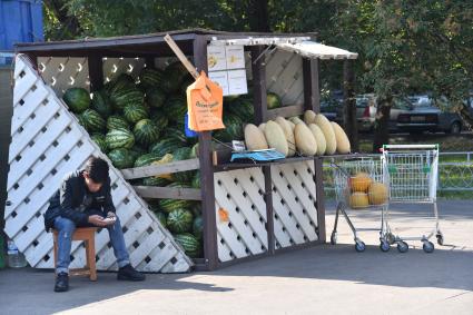 Москва.  Продажа арбузов и дынь.