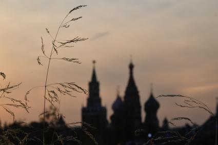 Москва. Вид на Кремль с территории природно-ландшафтного парка `Зарядье`.