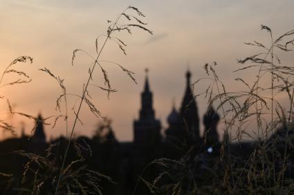 Москва. Вид на Кремль с территории природно-ландшафтного парка `Зарядье`.