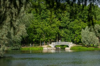 Ленинградская область, Гатчина. Вид на мостик Дворцового парка.