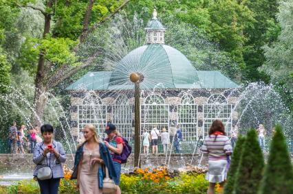 Петергоф. Фонтаны в саду дворца  Монплезир  Петергофского парка.