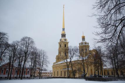 Санкт-Петербург. Вид на Петропавловский собор Петропавловской крепости.