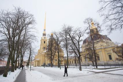 Санкт-Петербург. Вид Петропавловской крепости зимой.