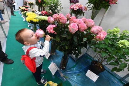 Москва. На выставке `ЦветыЭкспо 2018`в МВЦ `Крокус Экспо`.