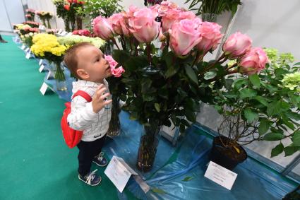 Москва.  На выставке `ЦветыЭкспо 2018`в МВЦ `Крокус Экспо`.