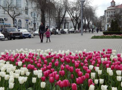 Севастополь. На улицах города.