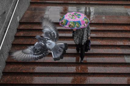 Москва. Прохожие под дождем.