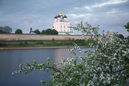 Псков.  Вид на Троицкий собор.