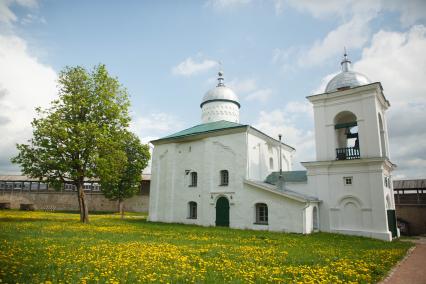 Изборск. Никольский собор.