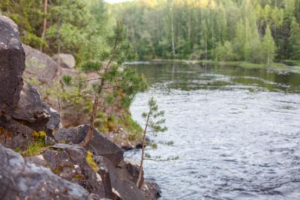 Республика Карелия. Водопад в заповеднике `Кивач`.