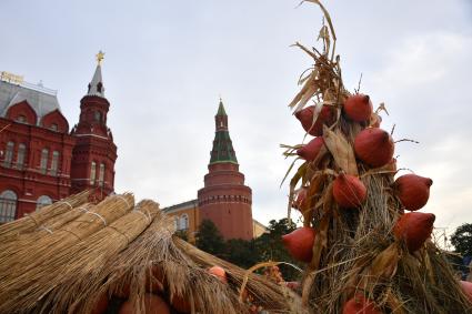 Москва. Во время гастрономического фестиваля `Золотая осень - 2018` на Манежной площади.