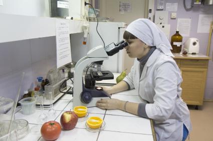 Иркутск.  Проверка качества овощей и фруктов в лаборатории.