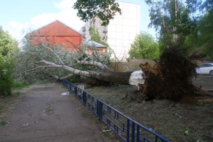 Нижний Новгород. Упавшее во время урагана дерево на одной из улиц города.